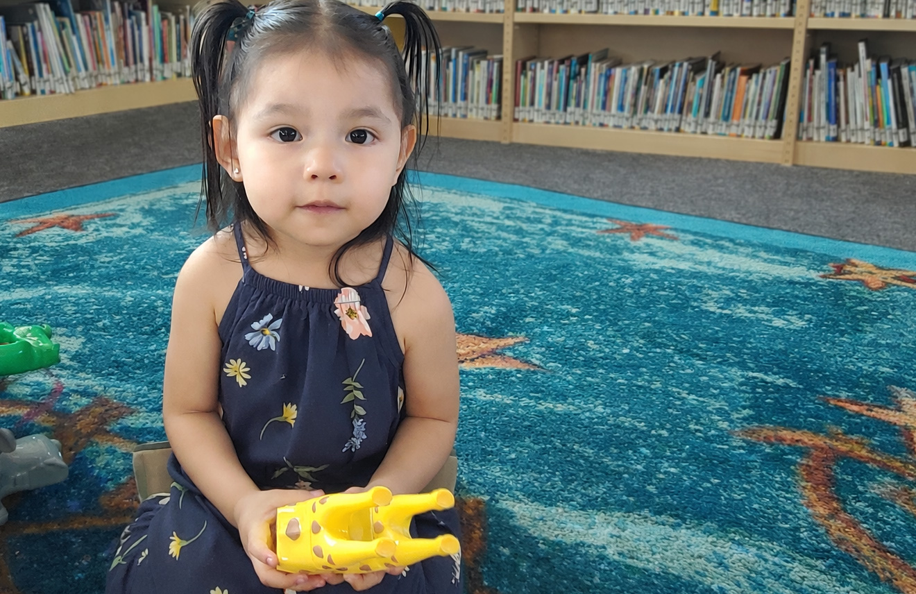 Young Girl Reading in a Children’s Library – Early Childhood Learning & Play